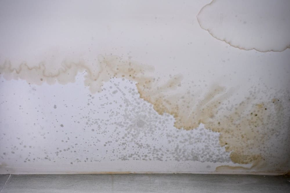 brown-stain-of-indoor-mould-and-fungus-on-the-ceiling-effects-of-flooding-on-the-wall_t20_ynz329
